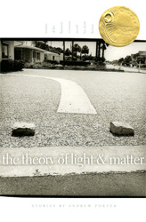 The Theory of Light and Matter (2008)
