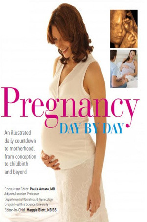 Pregnancy Day by Day: An Illustrated Daily Countdown to Motherhood, from Conception to Childbirth and Beyond (2009)