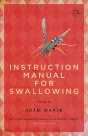 Instruction Manual for Swallowing (2012)