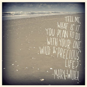 tell-me-what-is-it-you-plan-to-do-with-your-one-wild-and-precious-life-2