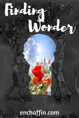 Finding Wonder