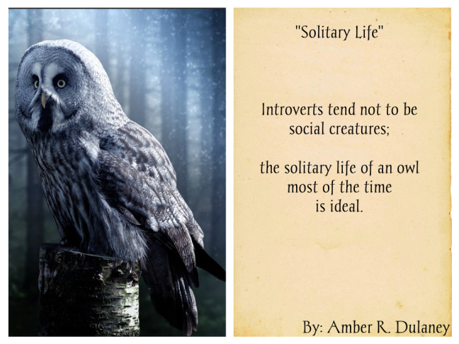 solitarylife