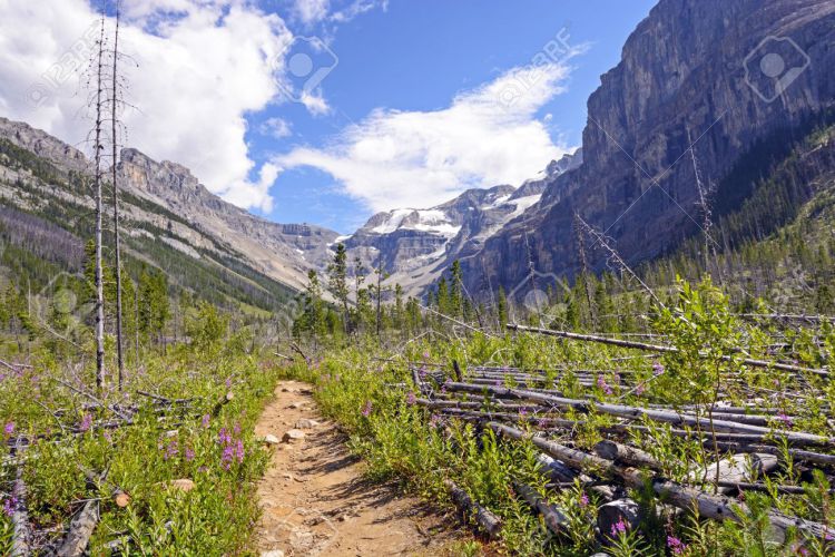 21730608-The-Stanley-Glacier-trail-In-Kootenay-National-Park-in-British-Columbia-Stock-Photo