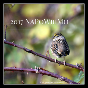 2017 NaPoWriMo1
