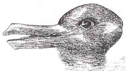 Duck-Rabbit_illusion_439x242