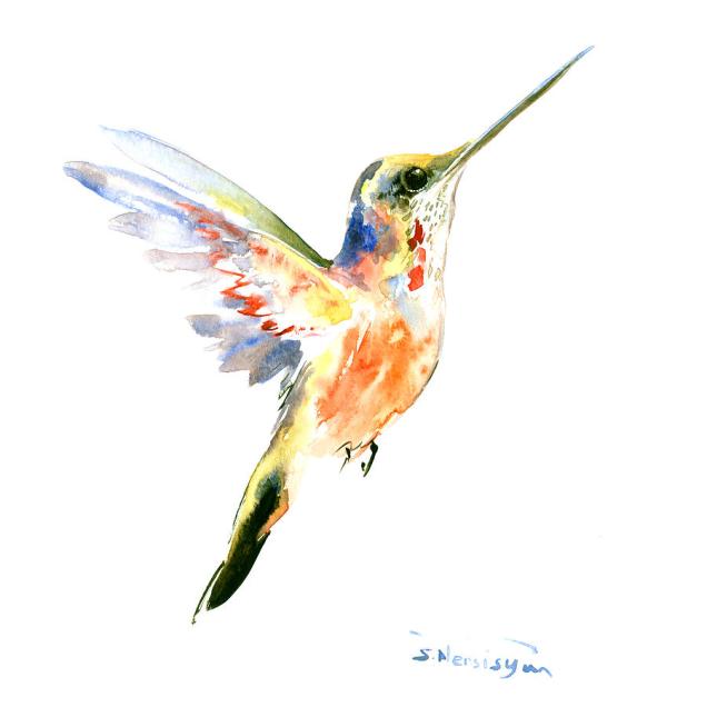 3-hummingbird-suren-nersisyan