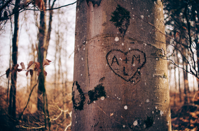 Initials on a Tree.PNG