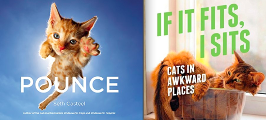pounce-seth-casteel-if-it-fits-i-sits-cat-books