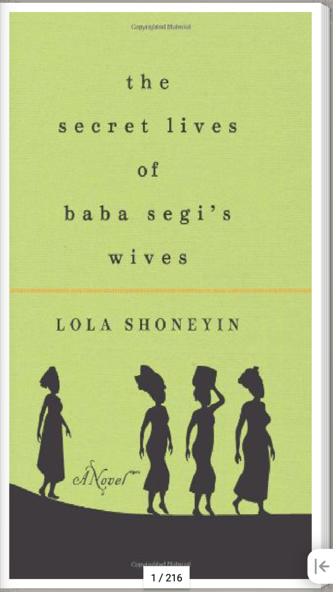 The secret lives of Baba Segi's wives cover