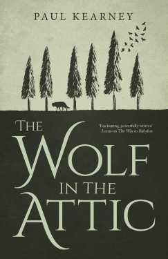 the-wolf-in-the-attic-9781781083628_hr