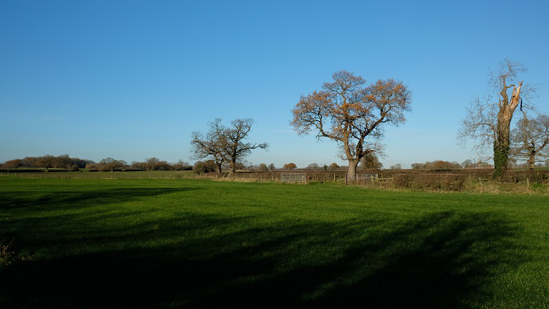 cheshire fields 171201 s