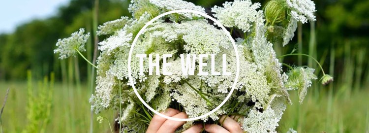 the_well 2017_banner13-2