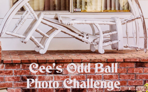 Cee's Odd Ball Challenge, China, Canada, animals, street art