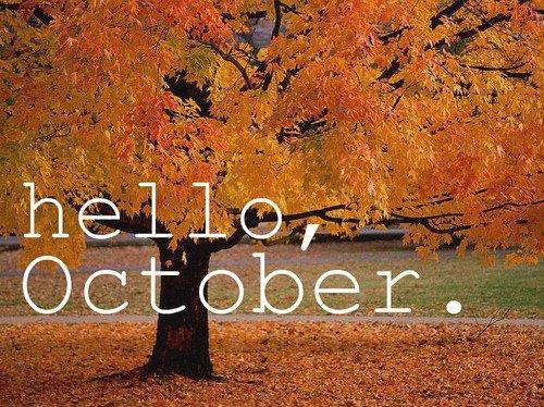 Hello-October-Sam-Manford-XLR-Creatives