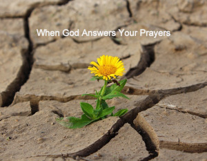 What to do When God Doesn't Pick You by Joyce Meyer