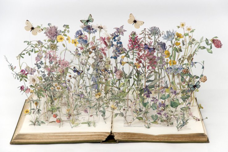 Wild Flowers of the British Isles by Su Blackwell