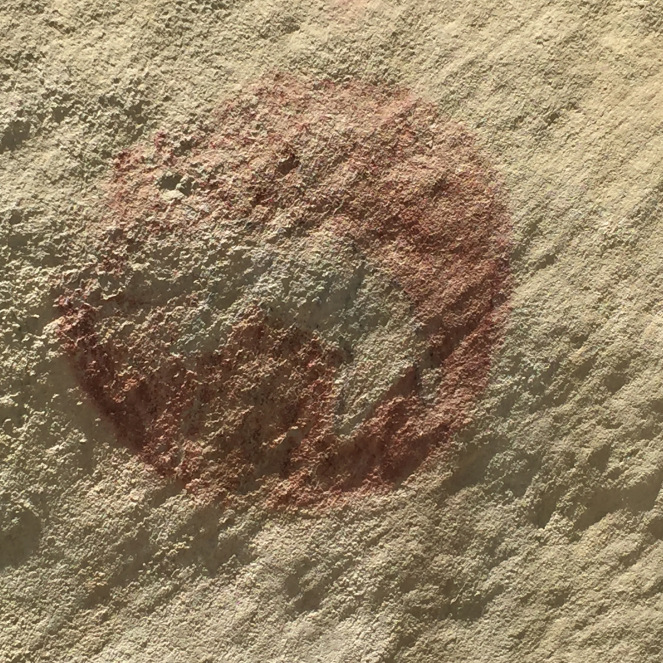 Native American Pictograph, Valley of the Shields, Montana