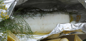 dariana_allens_fish_papillote_with_hollandaise_sauce