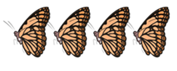 4-butterflies