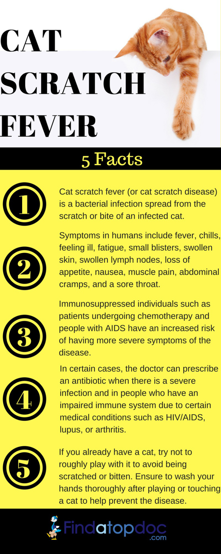 cat-scratch-fever.jpg