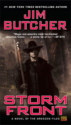Storm Front Cover