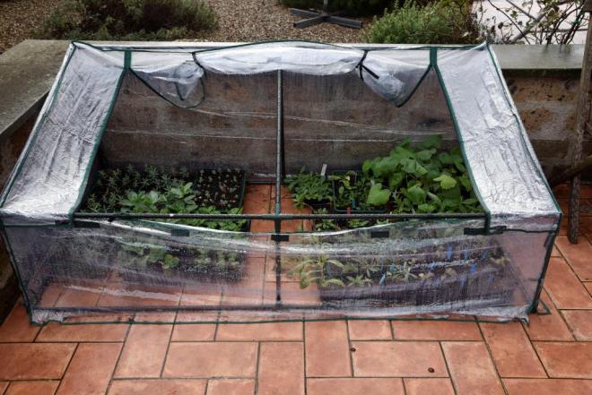 I found this cheap coldframe in a local DIY store; it's far from ideal but will do for now