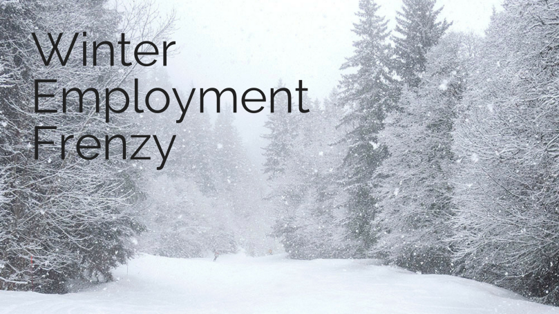 WinterEmploymentFrenzy.png