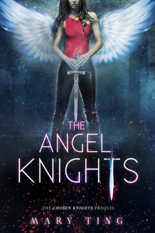 The Angel Knights 2d cover