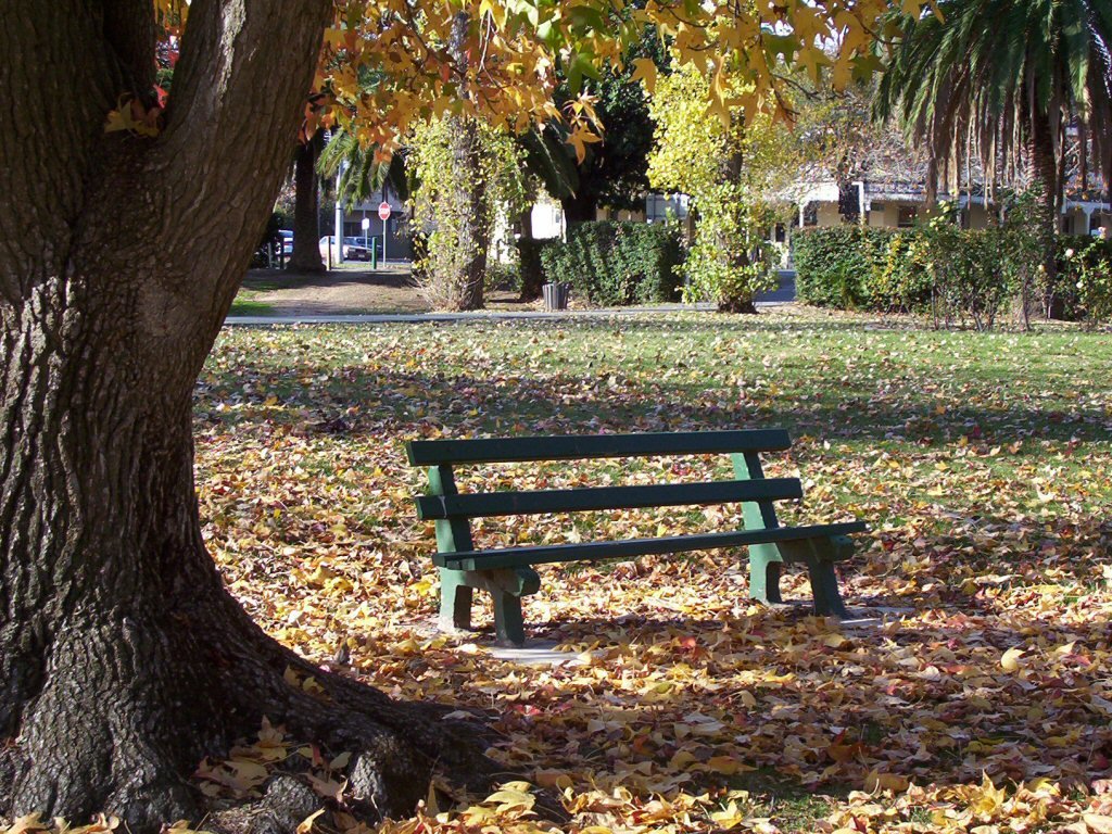Park bench in Autumn