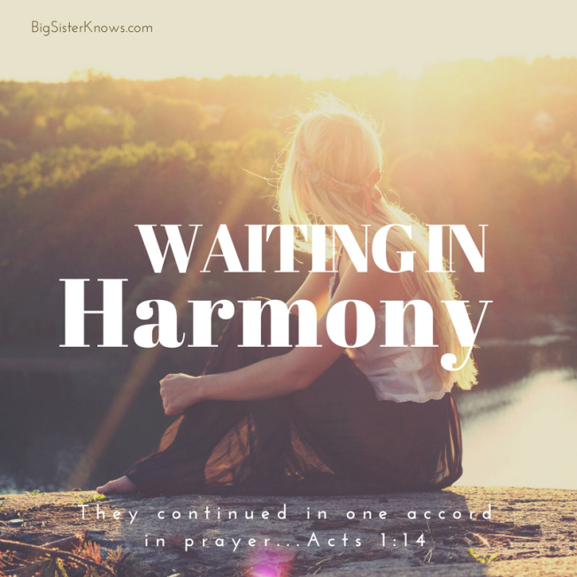 WaitingHarmony_BSK