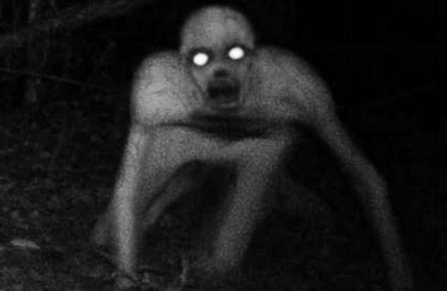 Image result for limau halau hantu