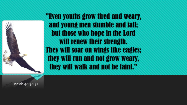 Eagle Scripture 1
