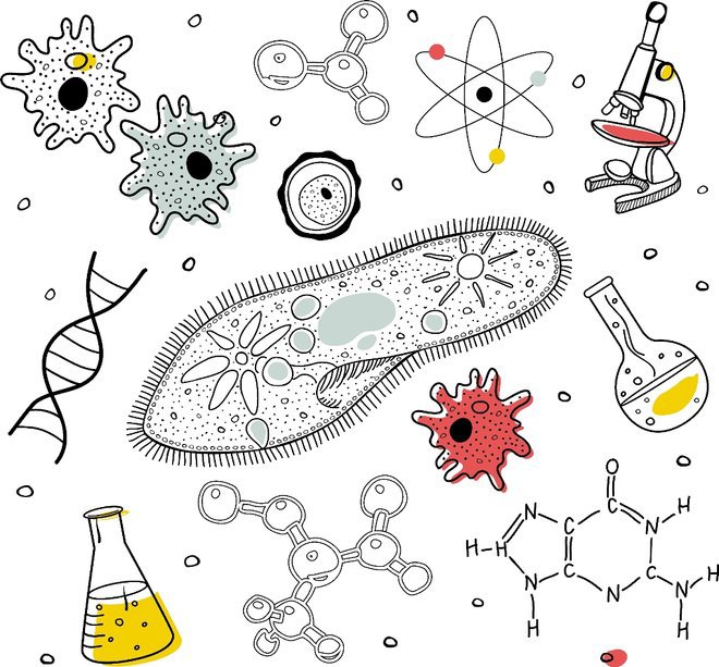 Fun science