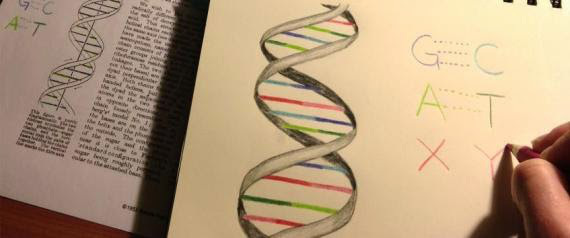 Expanded DNA pic