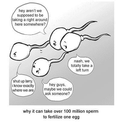 lost sperm