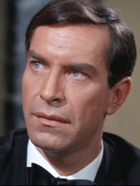 martin landau portrait