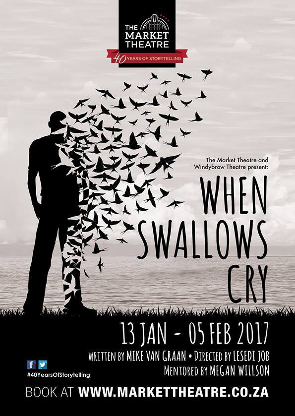 When Swallows Cry image