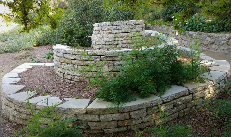 spiral at L.A. Arboretum