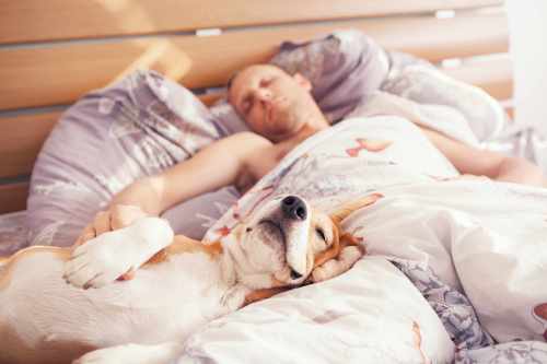 Sleeping with dog