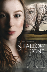 Shallow Pond (2013)