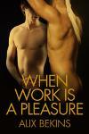When Work is a Pleasure (2009)