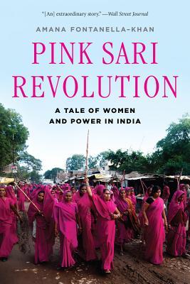 Pink Sari Revolution: A Tale of Women and Power in India (2014)