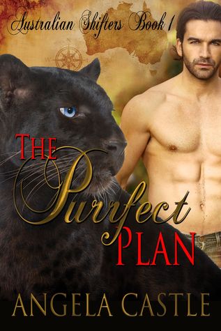 The Purrfect Plan (2013)