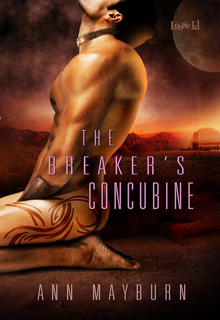 The Breaker's Concubine