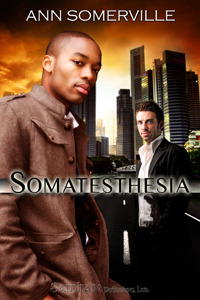 Somatesthesia (2010)
