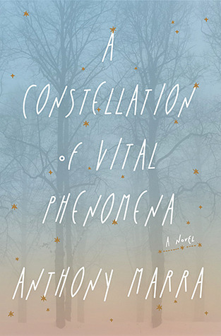 A Constellation of Vital Phenomena (2013)