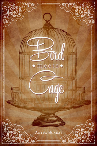 Bird Meets Cage