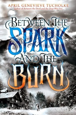 Between the Spark and the Burn (2014)