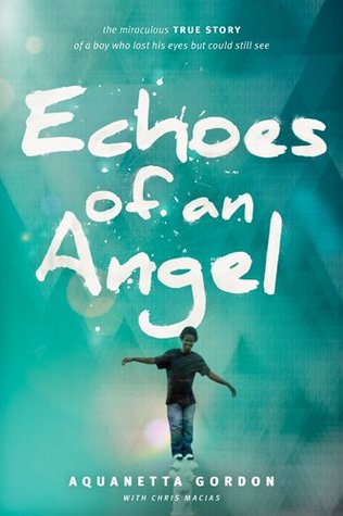 Echoes of an Angel: The Miraculous True Story of a Boy Who Lost His Eyes but Could Still See (2014)