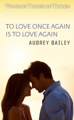 To Love Once Again Is To Love Again (2013)